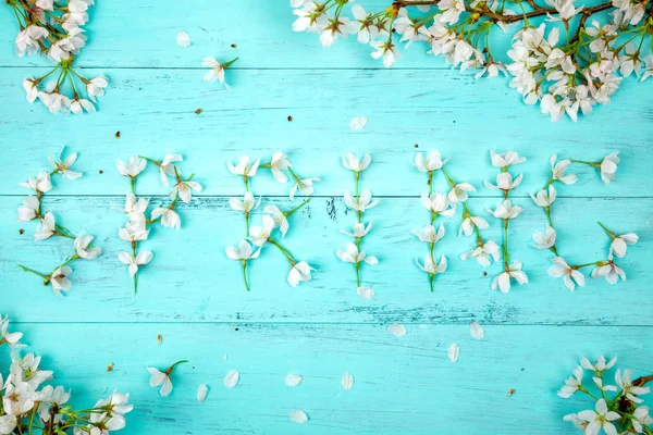 Kiraz Dallar Turkuaz Ahşap Plakalar Üzerinde Çiçekler Çevrili Beyaz Kiraz — Stok fotoğraf