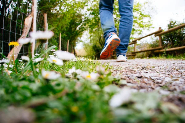Man Jeans Sport Sneakers Walking Path Springtime Focus Daisies — Stock Photo, Image