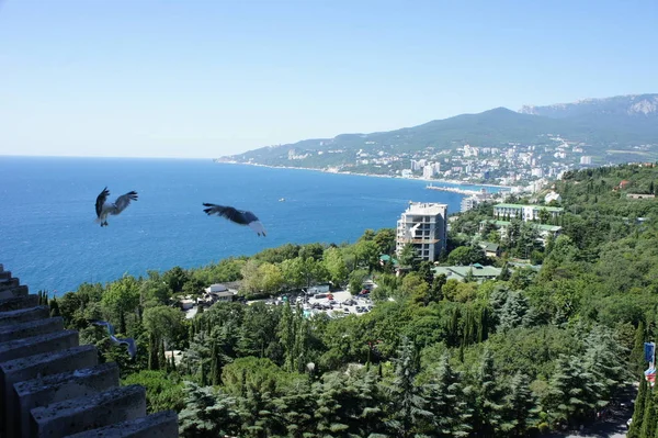 Sea View Hotel Crimea — Stock Photo, Image