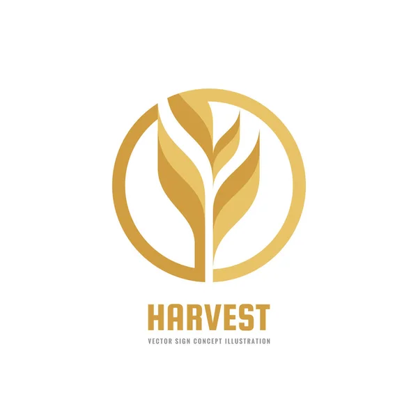 Harvest Modèle Logo Vectoriel Illustration Créative Céréales Bio Signe Symbole — Image vectorielle