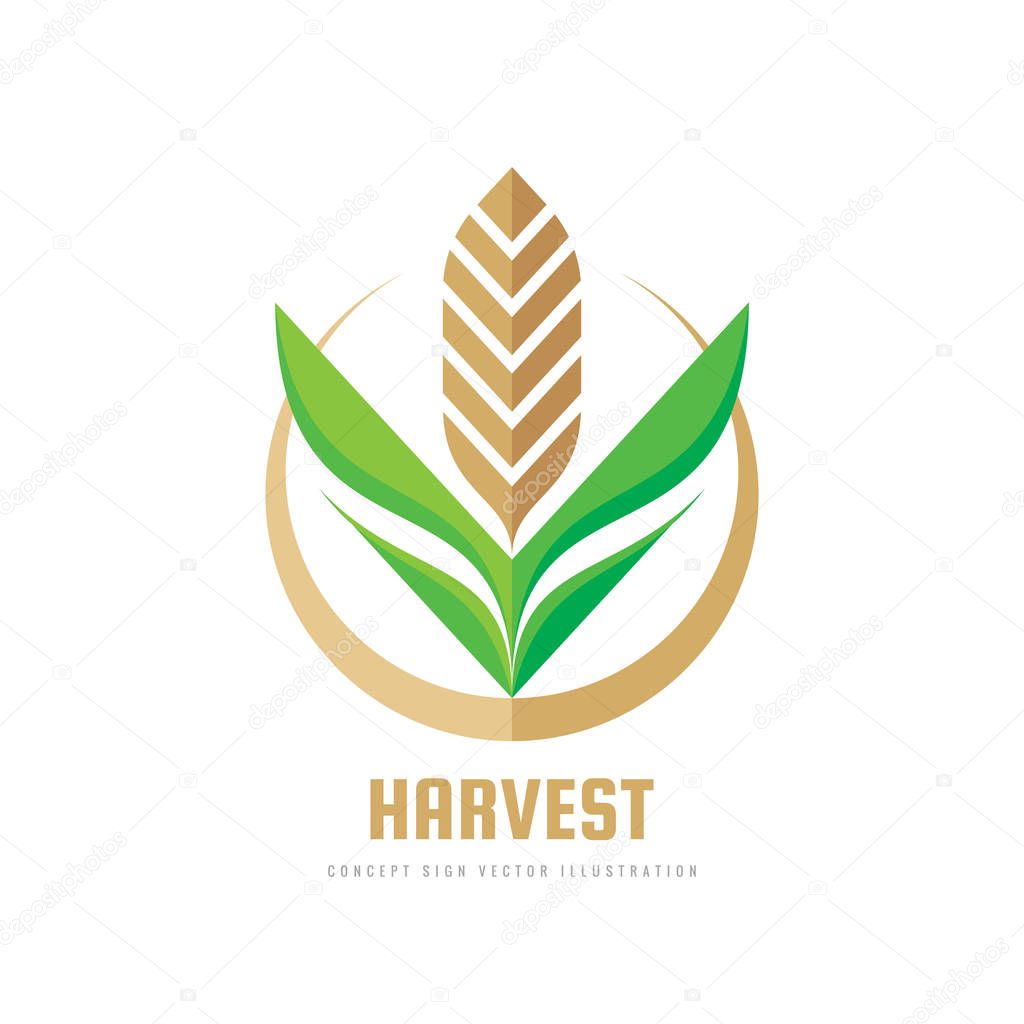 Harvest - concept business logo template vector illustration. Wheat geometric creative sign. Abstract agriculture symbol. Graphic design element.