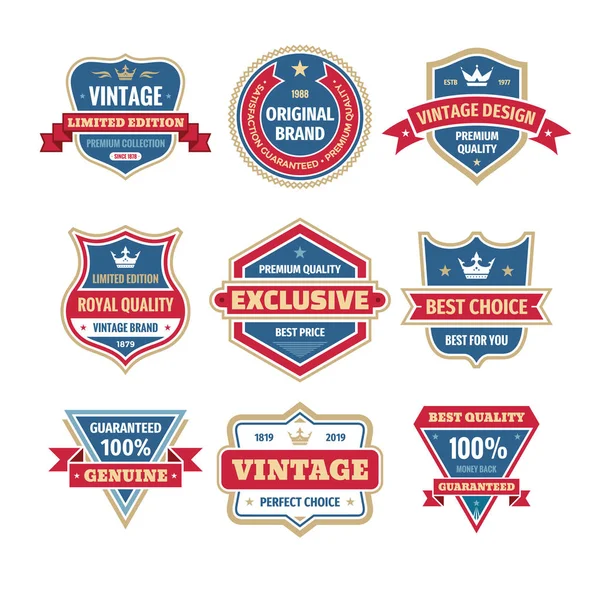 Ensemble Vectoriel Badges Professionnels Dans Style Rétro Design Logo Abstrait — Image vectorielle