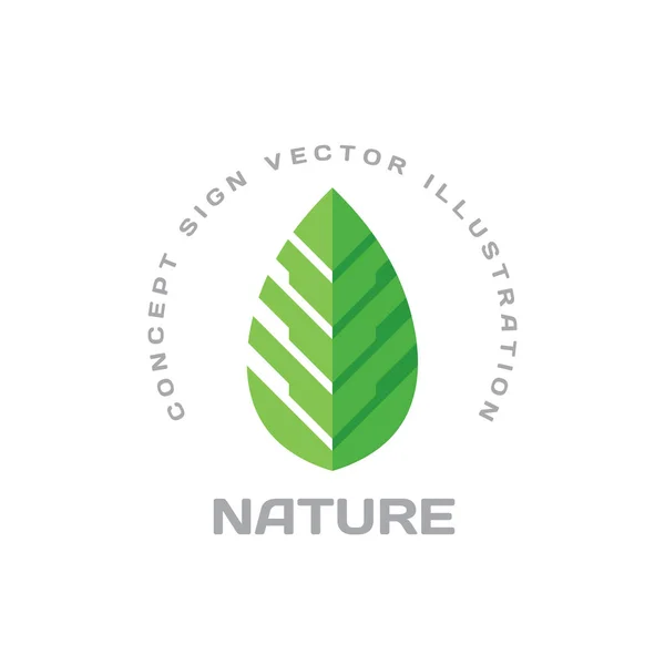 Nature Vector Logo Design Flat Style Green Leaf Creative Sign — Stock Vector