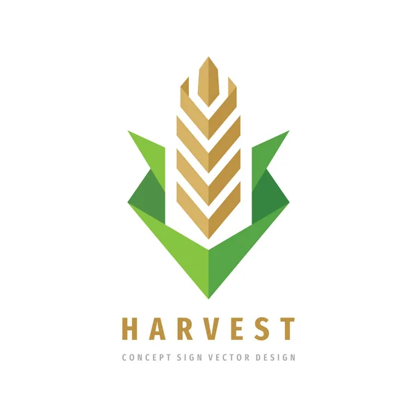 Harvest Modèle Logo Entreprise Concept Illustration Vectorielle Blé Signe Créatif — Image vectorielle