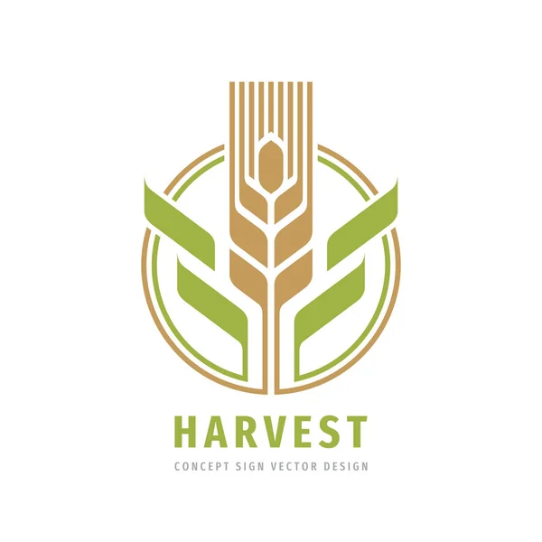 Ernte Getreide Getreide Logo Vorlage Kreative Illustration Ohr Des Weizens — Stockvektor