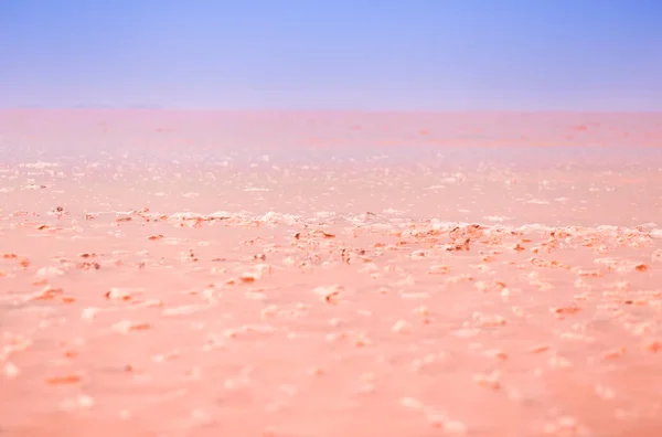 Beautiful pink lake background. salt crystals in the lake.