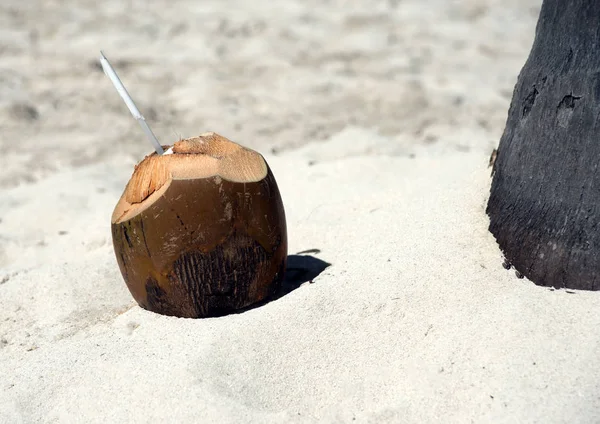 ドミニカ共和国 Saona 島で海にココヤシの木下どのピニャコラーダにカクテルを注いだ つの大規模なオープン ココナッツは愛好家を待っています — ストック写真