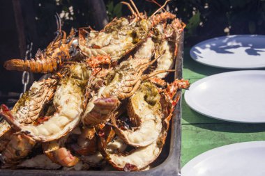 Büyük, taze, ızgara, ıstakoz hizmet vermeye hazır ve kırmızı bir kabuk ile. Yanındaki Beyaz tabaklar Saona, Dominik Cumhuriyeti, adada bir sıcak yaz gününde öğle yemeği için deniz ürünleri hizmet için.