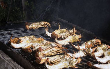 Taze Saona Island yakınındaki Karayipler'de yakaladı, ıstakoz ızgara. Duman ve lezzetli aroma her şeyi zarf.
