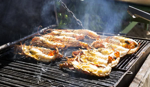 Taze Saona Island yakınındaki Karayipler'de yakaladı, ıstakoz ızgara. Duman ve lezzetli aroma her şeyi zarf.