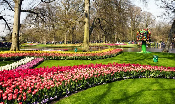 Keukenhof Niederlande April 2018 Wunderschöne Frühlingsblumen Rote Tulpen Gelbe Narzissen — Stockfoto