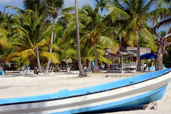 Gran Barco Blanco Cerca Una Playa Arena Con Palmeras Verdes —  Fotos de Stock