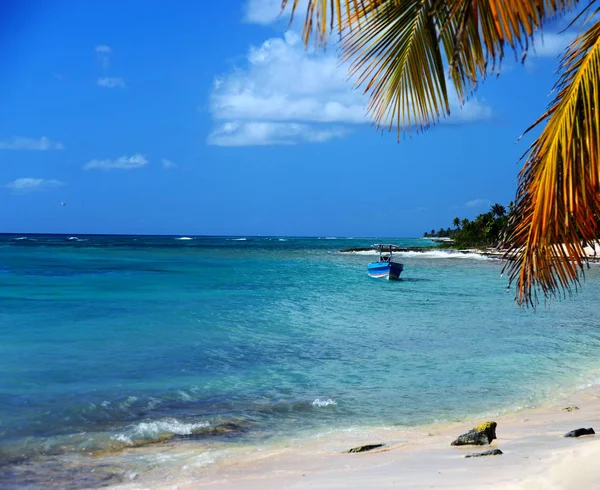 Beautiful view of the Caribbean Sea, the blue sea and a boat from the sandy island of Saona, Dominican Republic. Large palm leaves in the foreground.