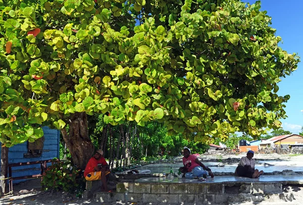 Saona, Dominican Republic, December 2018. Adult Dominican men are resting under a beautiful branchy green tree on a sunny day on the street of a small fishing village. Around the dirt and poverty.