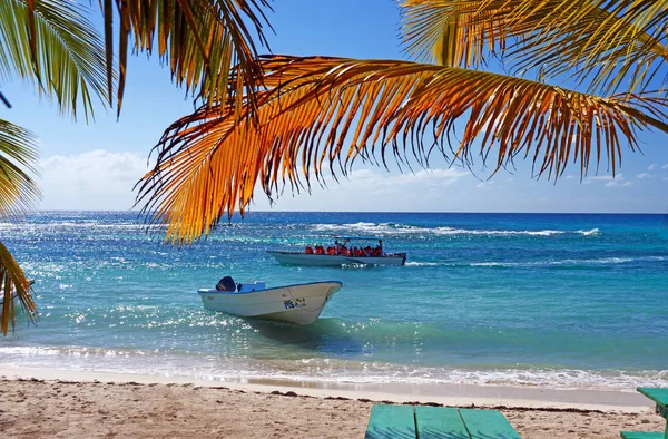 Saona Dominicaanse Republiek December 2018 Prachtig Uitzicht Blauwe Wateren Van — Stockfoto