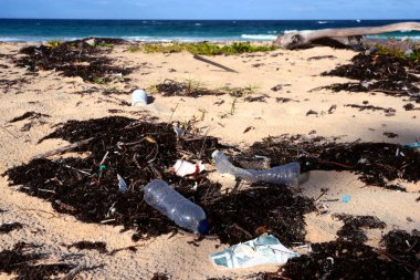 Plastik şişeler, torbalar, teneke kutular ve diğer çöp nın en güzel plajlarından Punta Cana, Dominik Cumhuriyeti. Çevre kirliliği.
