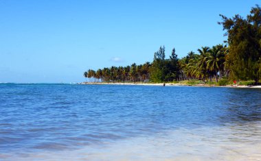 Güzel manzara okyanus ve palmiye ağaçlarının Saona Adası, Dominik Cumhuriyeti sıcak güneşli bir plaj. Sıcak turkuaz su ve beyaz kum - rahatlama için bir sığınak sorun değil..