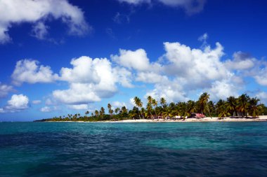 Kumlu plaj, palmiye ağaçları ve Saona Adası, Dominik Cumhuriyeti Karayip Denizi üzerinden güzel görünümünü. Cennet. Bölge, konfor ve rahatlama.