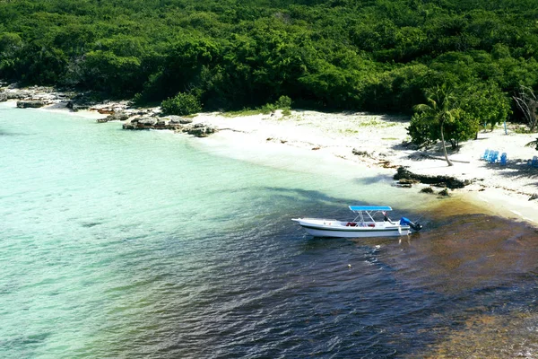 View Turquoise Caribbean Sea Palm Trees Sandy Shore Island Saona — Stock Photo, Image