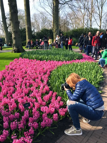 Keukenhof Hollanda Nisan 2018 Kızıl Saçlı Fotoğrafları Güzel Bir Kızla — Stok fotoğraf