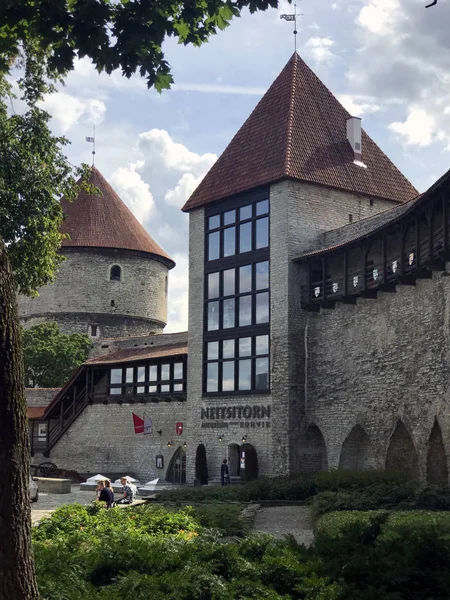 Tallinn Estonsko Srpen 2018 Neitsitorn Věž Plný Legendy Záhady Jedním — Stock fotografie