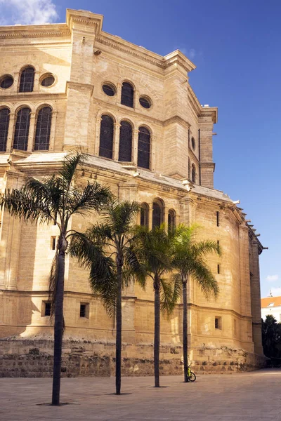 Cattedrale Catedral de la Encarnacon, palme e piazza nei raggi del sole al tramonto. Malaga, Spagna. Costa del Sol, Andalusia — Foto Stock