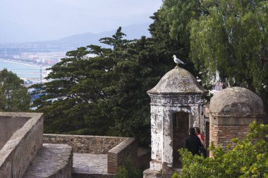 Bir martı kale Gibralfaro, Malaga, İspanya eski bir bina kubbe oturur. Sevgi dolu bir çift bir kuşa benziyor. Tarihi yerleri ile büyüleyici bir yolculuk. Birlikte olmak mutluluk.