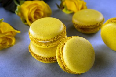 Limon sarısı macaroons Sarı Gül bir arka plan üzerinde. Lezzetli Fransız tatlı. Yakın çekim.