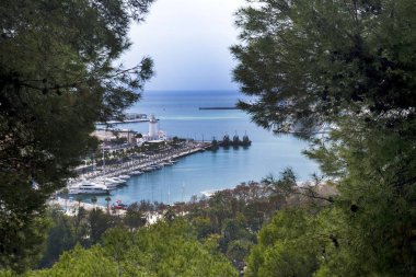 Malaga, İspanya, Şubat 2019. Malaga İspanyolca şehir panoraması. Bağlantı noktası, Körfez, gemi. Liman kozalaklı şubeleri aracılığıyla bir bakış. Şehrin üzerinde dramatik gökyüzü. Harika bir manzara.