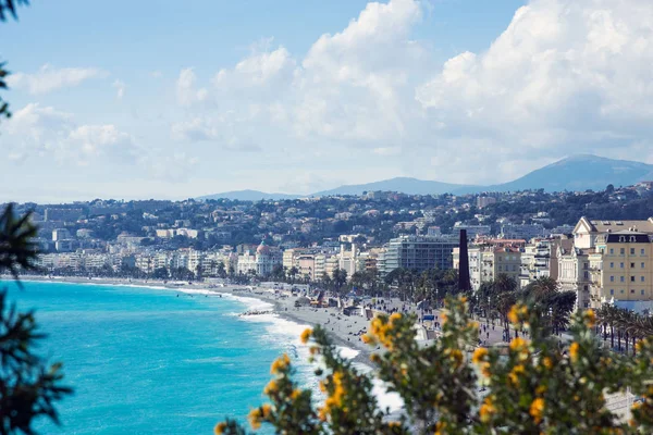 Nice, France, March 2019. A bush of yellow acacia blooms against the backdrop of the azure sea and the French city of Nice. Diffuse. Spring on the Cote d'Azur. — Stock Photo, Image