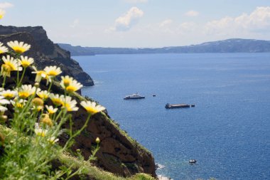 Deniz, dağlar ve kayalar. Sıcak güneşli bir günde Santorini Yunan adası. Avrupa'nın pitoresk yerlere seyahat. Ege Denizi'ndeki Kiklad adaları. Ön planda bulanık yabani çiçekler.