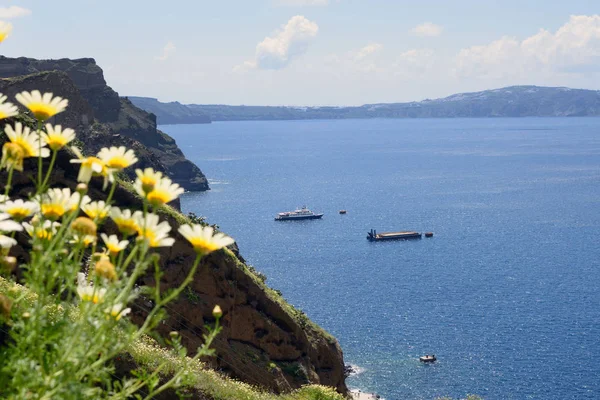 Zee, bergen en rotsen. Griekse eiland Santorini op een warme zonnige dag. Reis naar de pittoreske plaatsen van Europa. Cycladische eilanden in de Egeïsche zee. Vervaagde wilde bloemen op de voorgrond. — Stockfoto