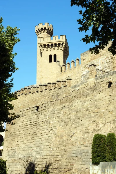 Palma de Mallorca, España, Catedral de Santa María, también La Ceu. La Catedral de Palma es uno de los principales atractivos de las Islas Baleares. Hermoso edificio de la cultura gótica. Detalles — Foto de Stock
