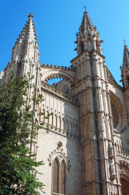 Palma de Mallorca, İspanya, Santa Maria Katedrali, ayrıca La Ceu. Palm Katedrali, Balear Adaları'nın başlıca ilgi çekici yerlerinden biridir. Gotik kültürün güzel binası. Şey