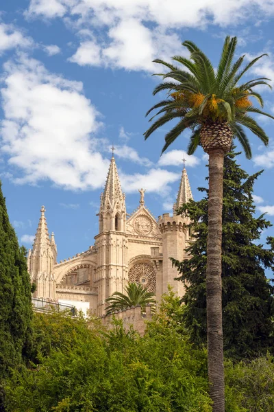 Cattedrale di Santa Maria, anche La Seu. Palm Cathedral è una delle principali attrazioni delle Isole Baleari. Un bellissimo edificio di cultura gotica . — Foto Stock