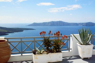 Terasta aloe çiçekleri. Deniz ve adaların güzel manzarası. Günbatımı. Yunan seyahati. Santorini, Yunanistan.