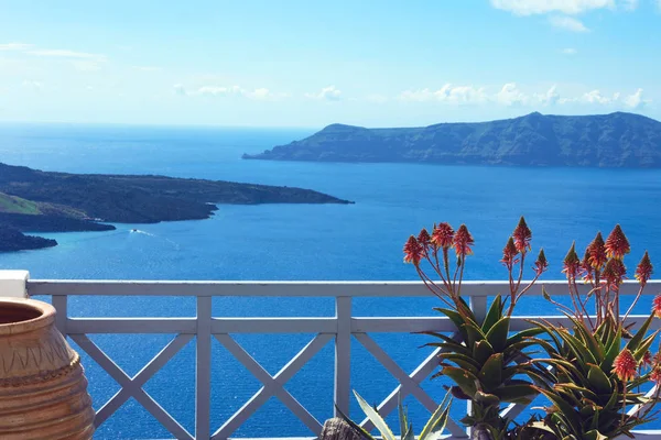 Fiori di aloe sulla terrazza. Bella vista sul mare e sulle isole. Tramonto. Viaggi greci. Santorini, Grecia . — Foto Stock
