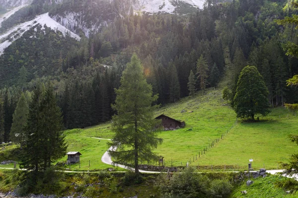 Green lawn, traditional Austrian house and forest against the backdrop of the European Alps. Bright sunshine. Gosauzen Region, Austria — Stock Photo, Image