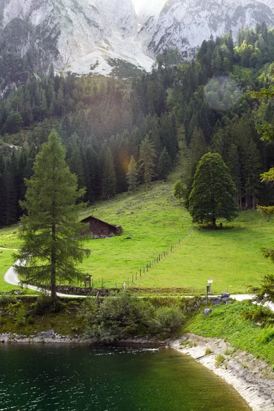 Groen gazon, traditioneel Oostenrijks huis en bos tegen de achtergrond van de Europese Alpen. Felle zon. Gosauzen Region, Oostenrijk — Stockfoto