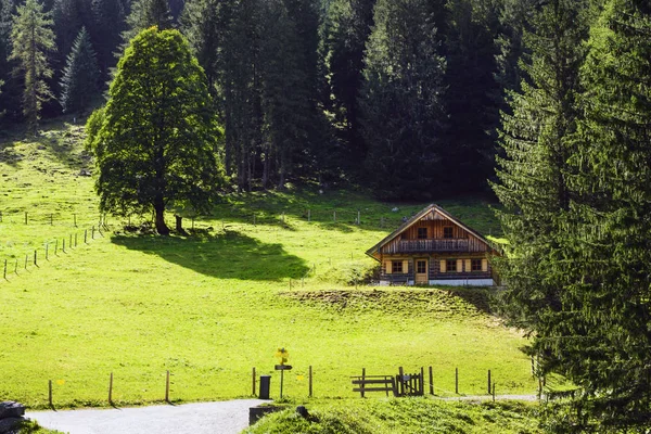 Groen gazon, traditioneel Oostenrijks huis en bos tegen de achtergrond van de Europese Alpen. Felle zon. Gosauzen Region, Oostenrijk — Stockfoto