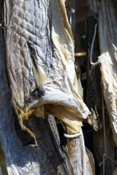 Dried fish. Famous Fish Market, Ostend, Belgium, Europe — Stock Photo, Image