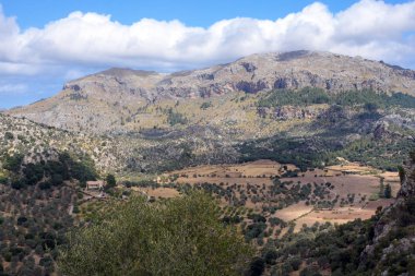 Santuario de Santa Maria de Luch Manastırı yakınındaki Sierra de Tramontana sıradağlarının yamaçlarında vadi ve zeytinlikler. Mayorka. Balear Adaları.