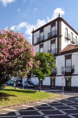 Portekiz, Ponta Delgada, Haziran 2019. Ponta Delgada güzel şehir, kare, tipik evler ve ağaçlar sıcak güneşli bir günde