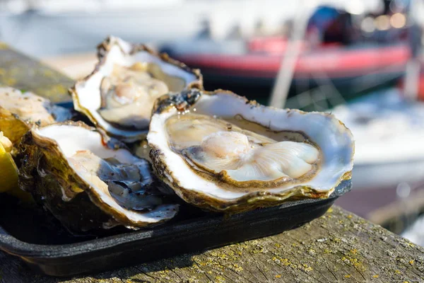 Large fresh oysters in the background of a yacht parking in the Belgian city of Ostend. Seafood. Tasty lunch while traveling. Close-up. — Stock Photo, Image