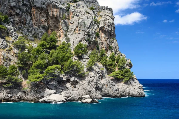 Όμορφη διάσημη κόλπο της Sa Calobra στο νησί της Μαγιόρκα, Ισπανία. Τυρκουάζ θάλασσα, βράχια και πεύκα. Ταξίδι στις Βαλεαρίδες Νήσους. — Φωτογραφία Αρχείου