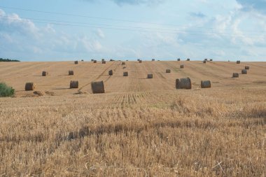 Ukrayna 'nın güzel kırsal manzarası. Hasat edilen tarlalarda saman balyaları ve bulutlu mavi bir gökyüzü..