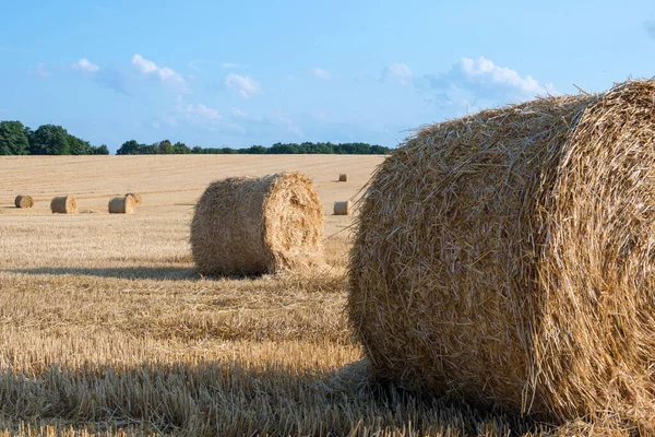 Bela Paisagem Rural Ucraniana Fardos Redondos Palha Campos Colhidos Céu — Fotografia de Stock