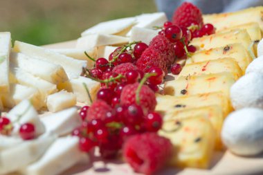 Bir el işi peynir fabrikasında organik keçi peyniri arasında böğürtlen. Peynir tahtası.