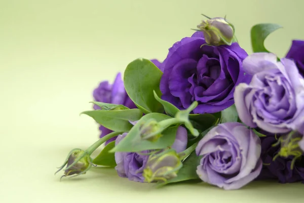 Beautiful bouquet of purple flowers on a green background. Flower arrangement for your beloved.