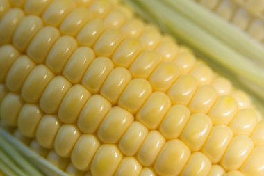 Olgun tatlı mısır. Popüler bir mısır gevreği. Yakın plan. Doku.